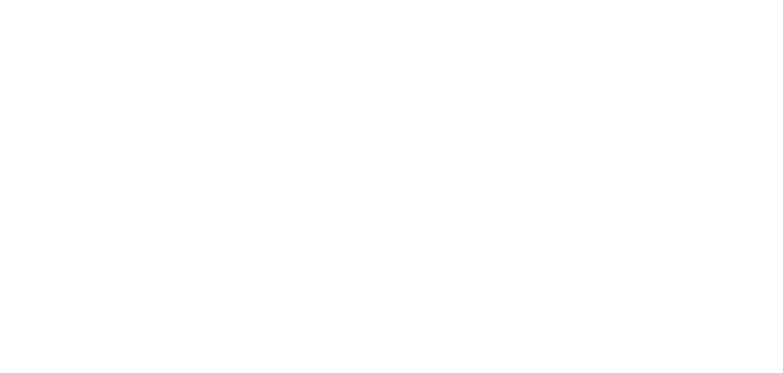 The Way of the Tiger II: Avenger